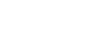 Volunteer Services Logo