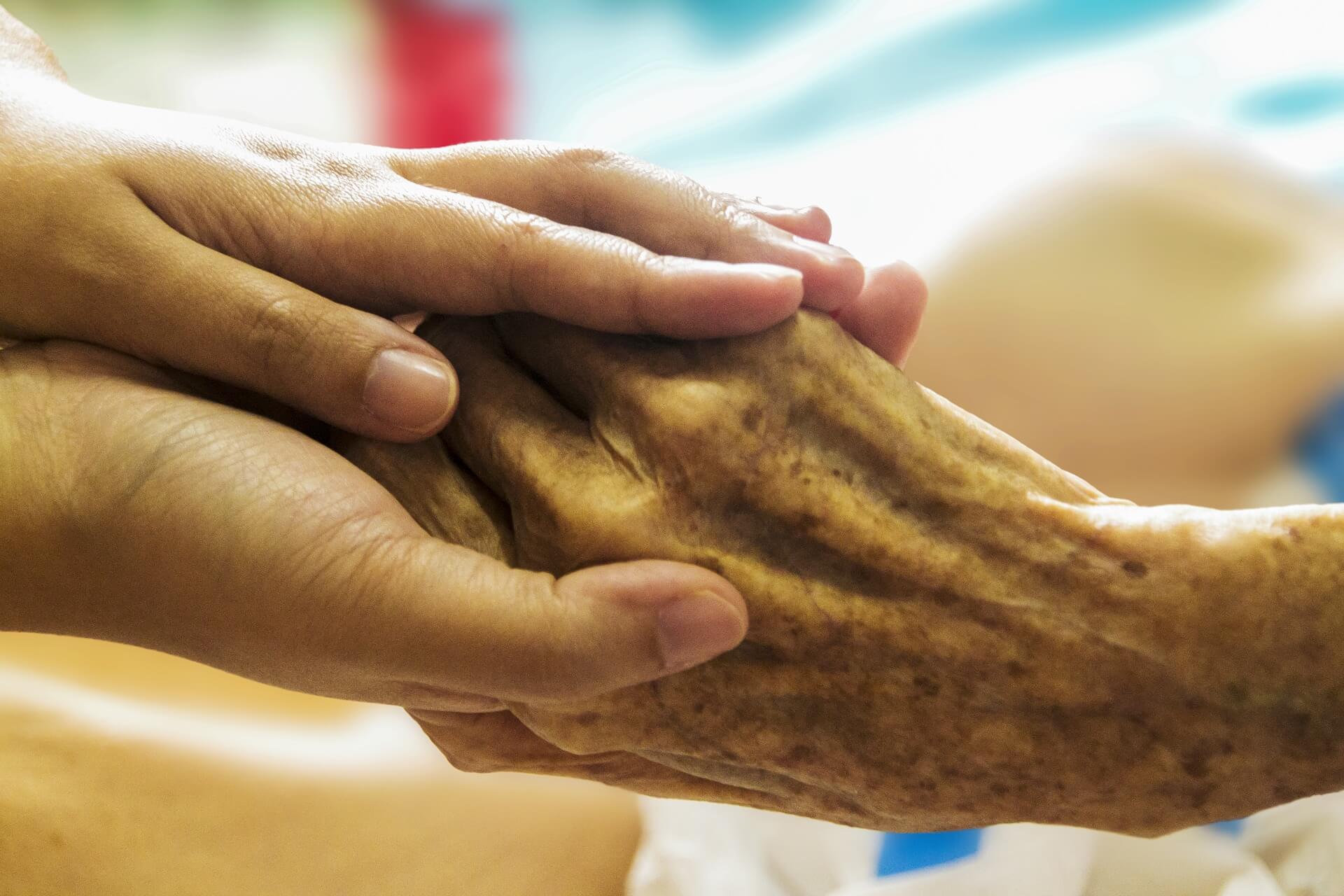 Adult hand holder elderly hand